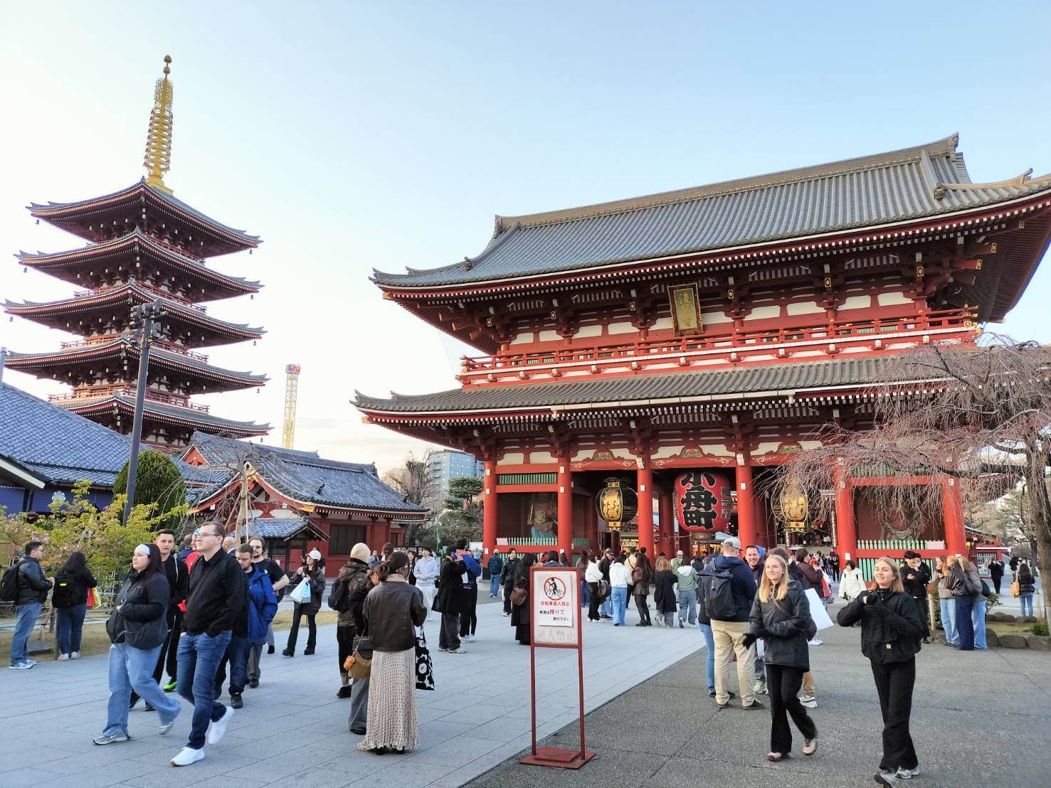 【悲報】海外旅行中止のお知らせ